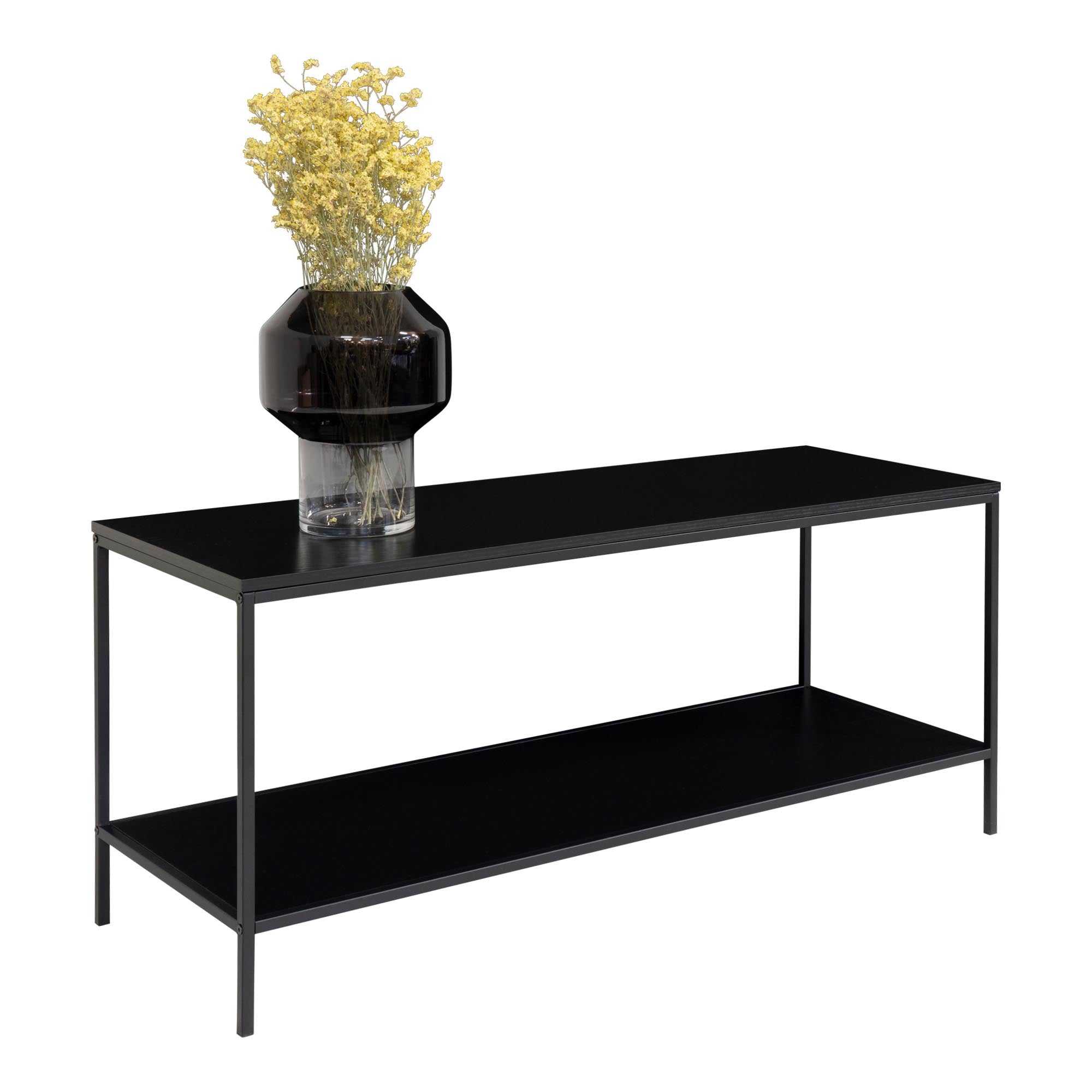 Vita TV-meubel - Met 2 planken, zwart, zwart frame 100x36x45 cm