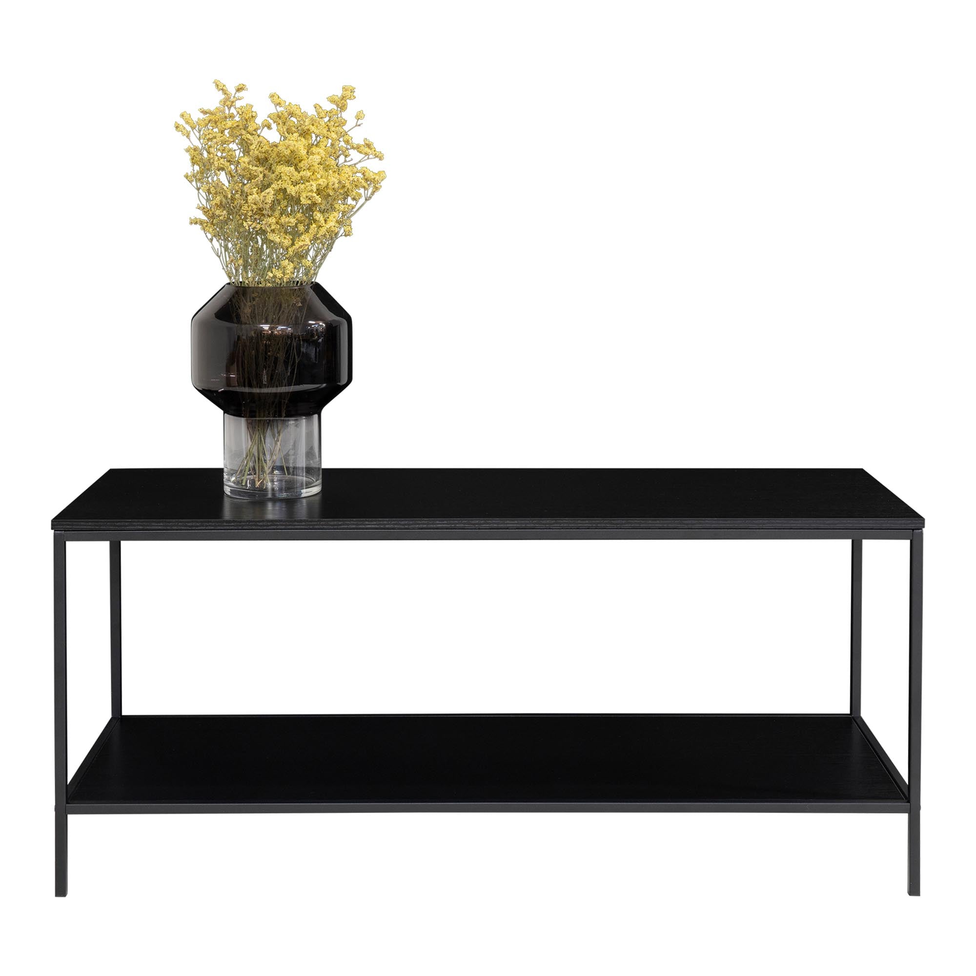 Vita TV-meubel - Met 2 planken, zwart, zwart frame 100x36x45 cm