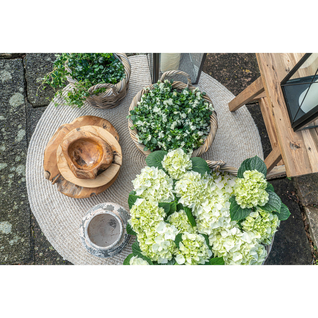Kuta Manden - Manden, kubu rotan, naturel, set van 3
