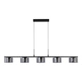 Cholet Hanglamp - Hanglamp met 5 LED-lampen, staal/glas, zwart/transparant