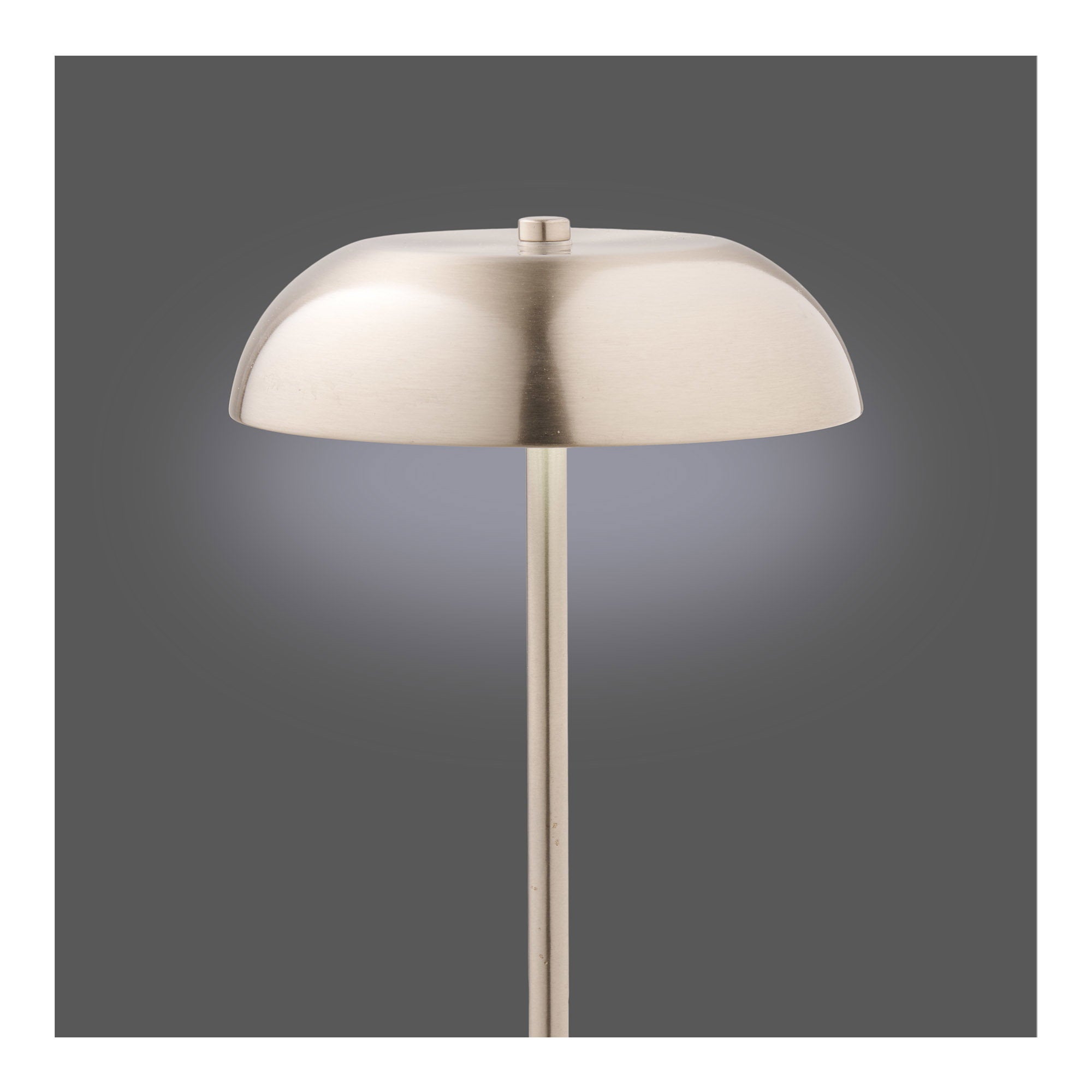 Fenwick Tafellamp - Tafellamp, oplaadbaar, metaal, zilver